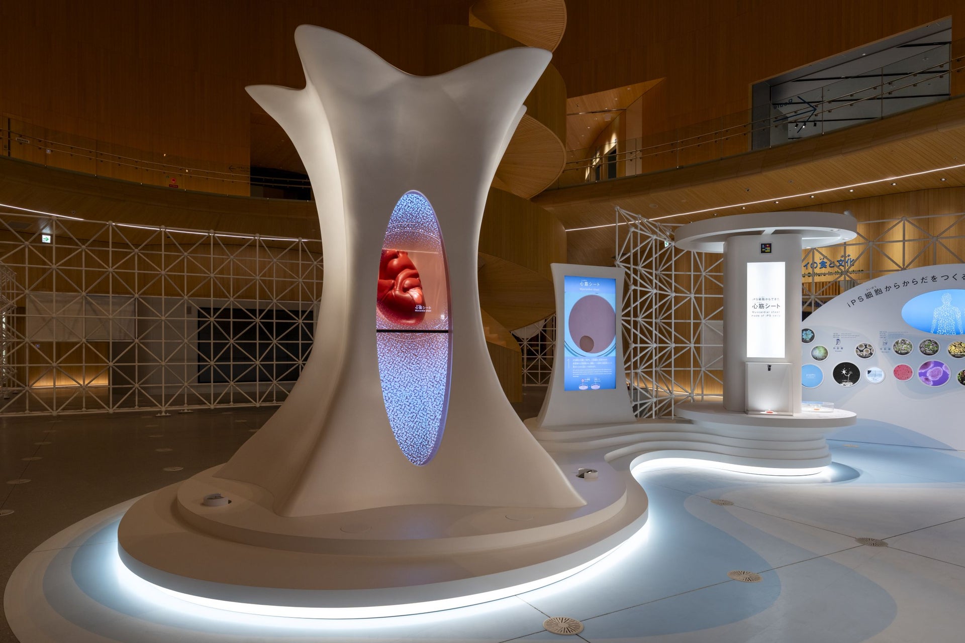 2025年日本国際博覧会　大阪ヘルスケアパビリオン Nest for Reborn「iPS Cells for the Future」4